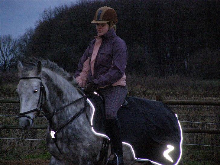 Anden særlig race Varin<3 verdens dejligste pony ! <3 - <3 billede 4