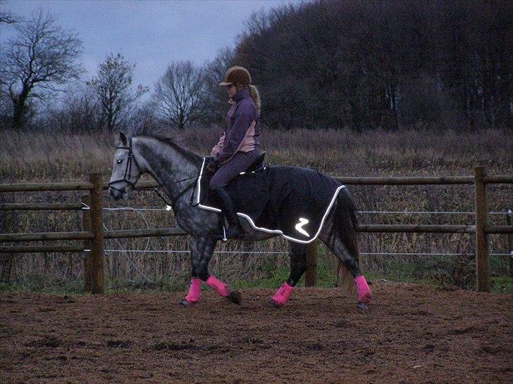 Anden særlig race Varin<3 verdens dejligste pony ! <3 - <3 billede 6