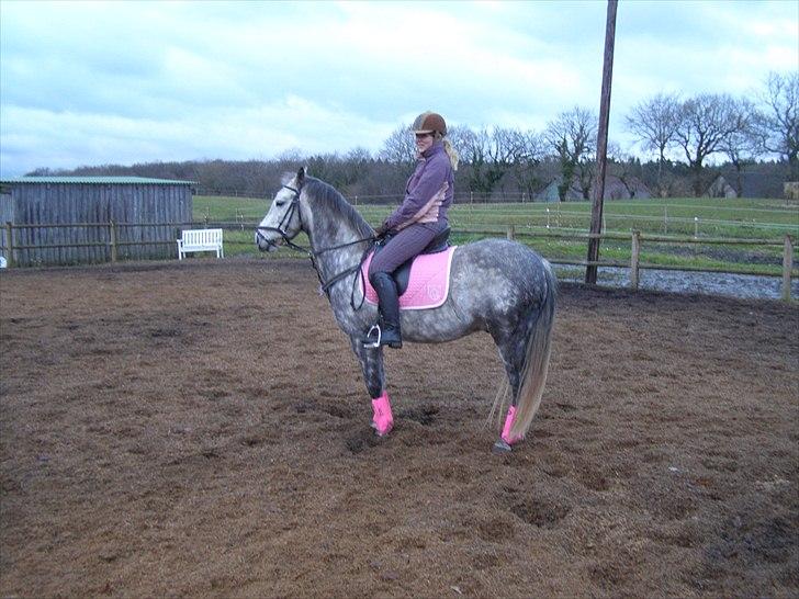 Anden særlig race Varin<3 verdens dejligste pony ! <3 - <3 billede 7