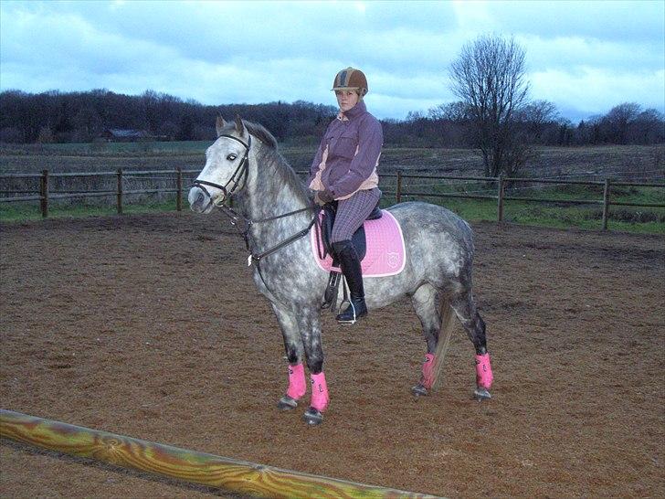 Anden særlig race Varin<3 verdens dejligste pony ! <3 - <3 billede 8