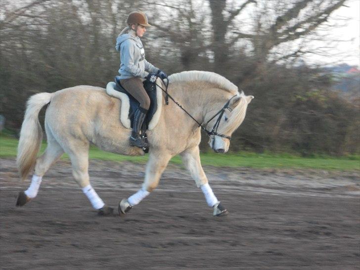 Anden særlig race Mulle - Smukke den16/11-10 billede 14