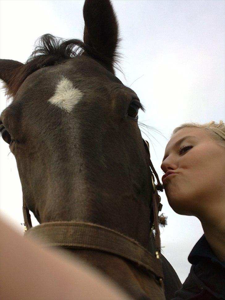 Anden særlig race Lamia  - b. 11 - jeg elsker dig prutfis ;-)  billede 11