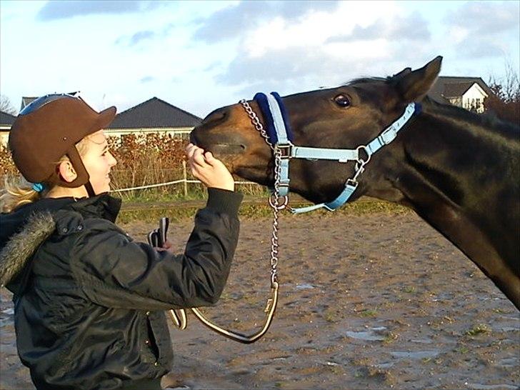 Anden særlig race Lamia  - b. 14 - du er den bedste.. billede 14
