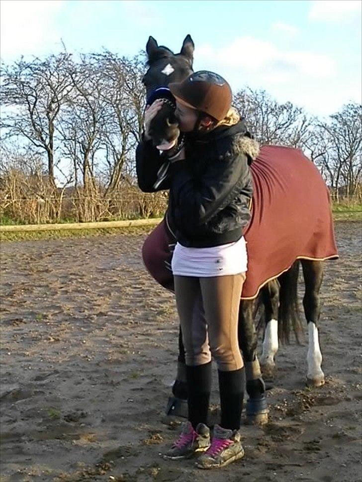 Anden særlig race Lamia  - b. 15 - du er en dejlig hest du er ! billede 15