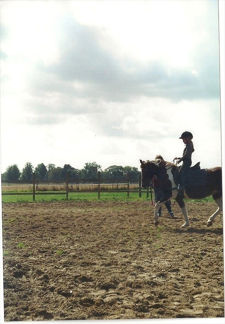 Pinto Kiki RPIN 63 * R I P * billede 12