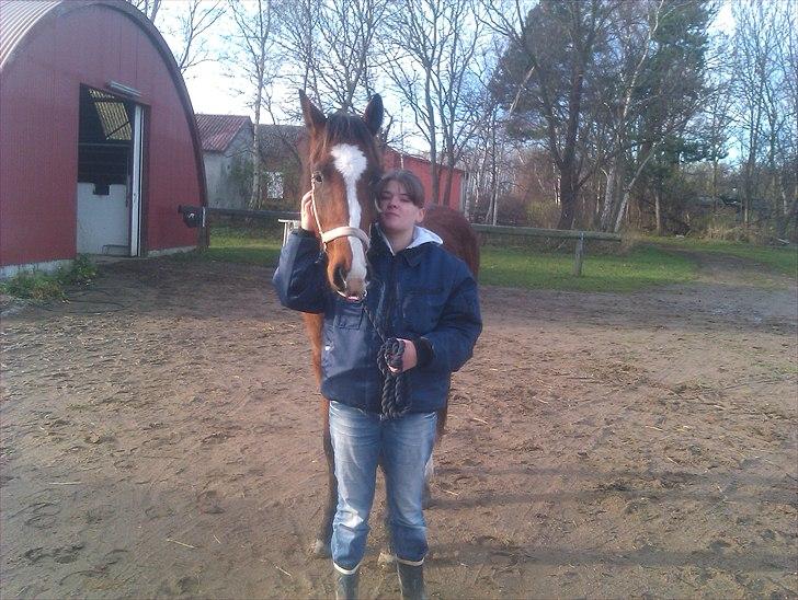 Anden særlig race Mikado billede 20