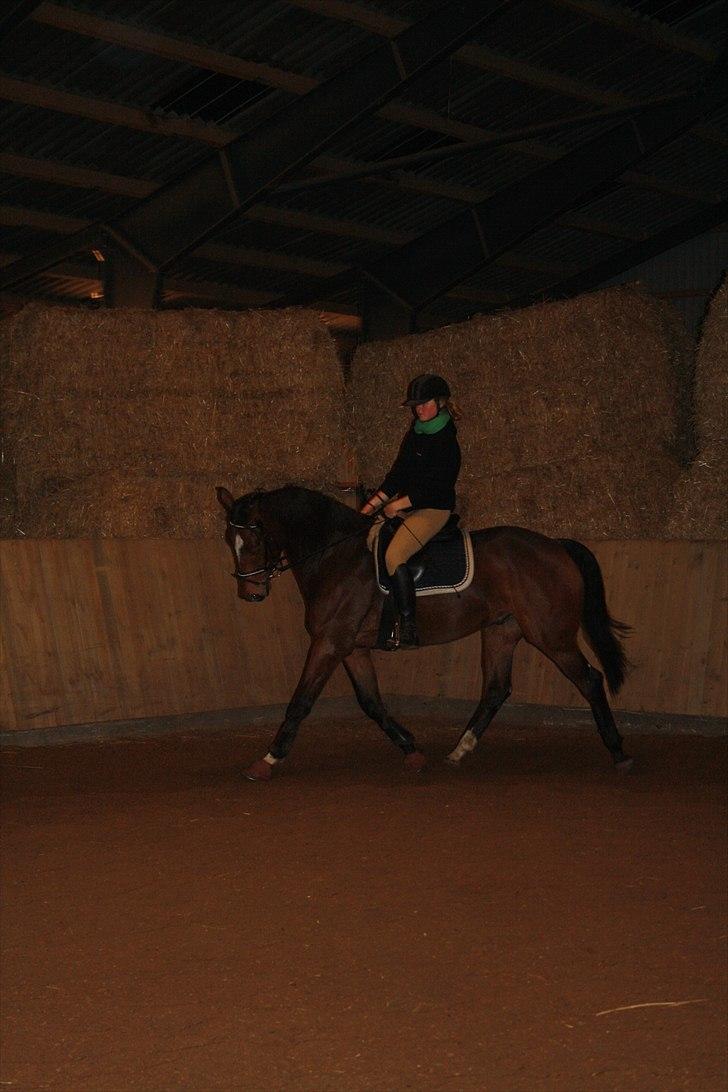 Anden særlig race Stensgaardens mistral - lækkerheden selv!(: billede 10