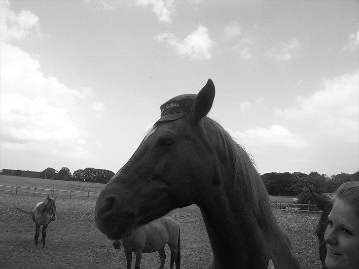Anden særlig race Alvin - Det der gør livet værd at leve <3 - Lige meget hvad der sker, vil du og jeg altid være mit Team Bidløs.. Du kan aldrig erstattes ! billede 1