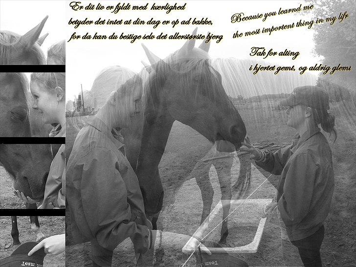 Anden særlig race Alvin - Det der gør livet værd at leve <3 - når jeg siger jeg elsker dig, mener jeg det virkelig.! billede 2