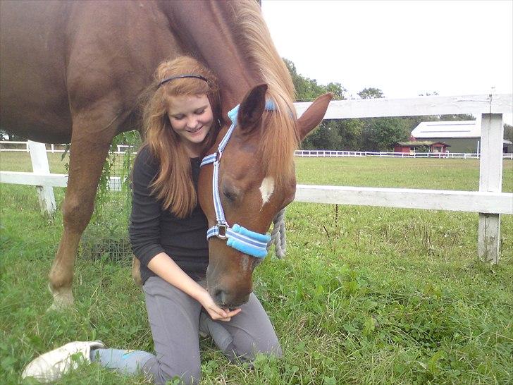 Anden særlig race Alvin - Det der gør livet værd at leve <3 - Med dig tør jeg alt ! :´)<3 billede 4