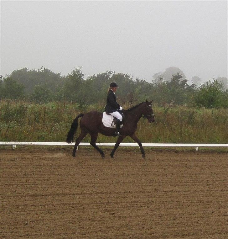 Anden særlig race Manu Af Øster haugård - Mig og Manus første stævne, det var en stress dag, men du var så fin ven<3  billede 16