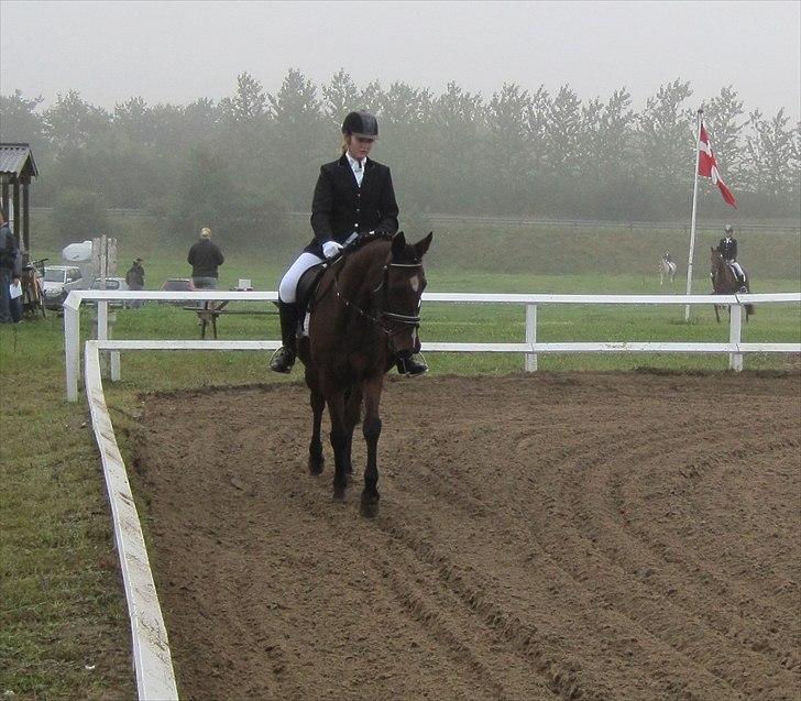 Anden særlig race Manu Af Øster haugård - Øvelse gør mester og du gør store fremskridt... billede 17