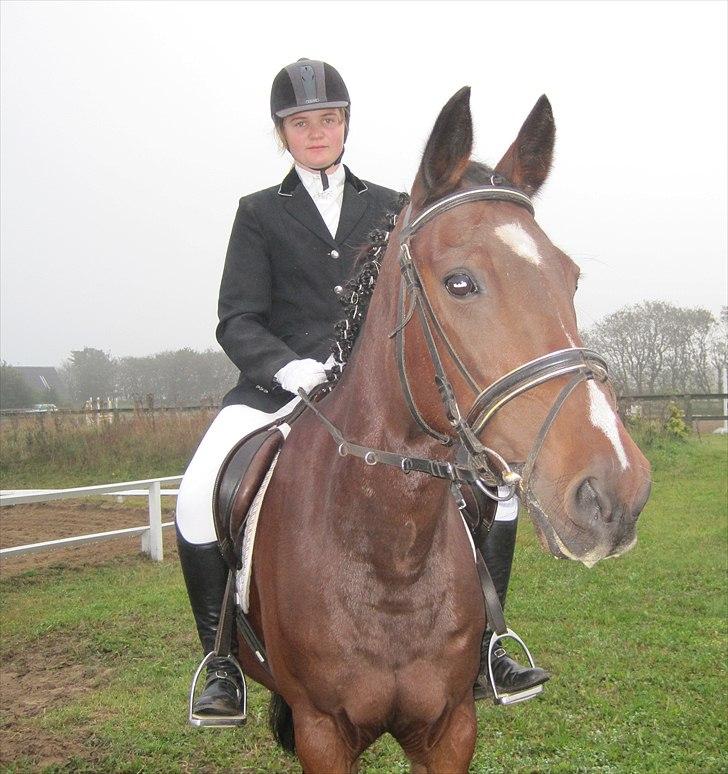 Anden særlig race Manu Af Øster haugård - Sammen kan vi gøre drømme til virkelighed<3 Håber på flere stævner med dig;D  billede 19