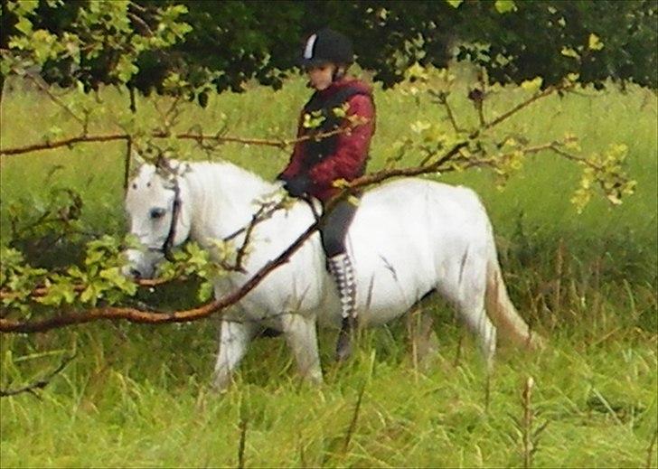 Anden særlig race Sif - Også til min fødselsdag og også undskyld med henskyn til kvaliteten. billede 3
