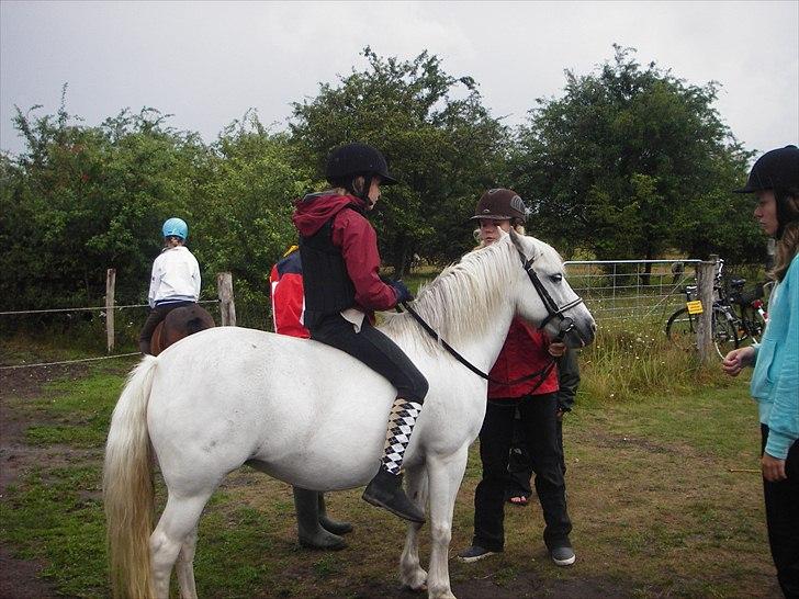 Anden særlig race Sif - Her er jeg lige kommet op på hende :D billede 6