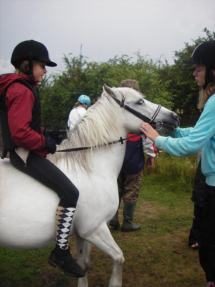 Anden særlig race Sif - Smuuuuuuk! billede 7