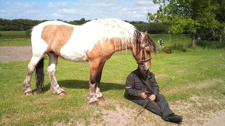 Anden særlig race Bavnshøj´s Cassie (Solgt) billede 18