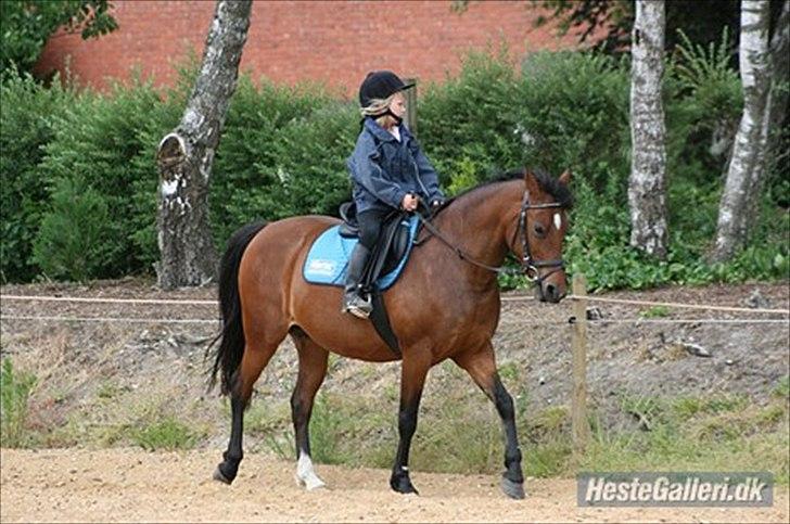 DSP Mon Cherie (SOLGT) - Camilla på Mon Cherie :) billede 3