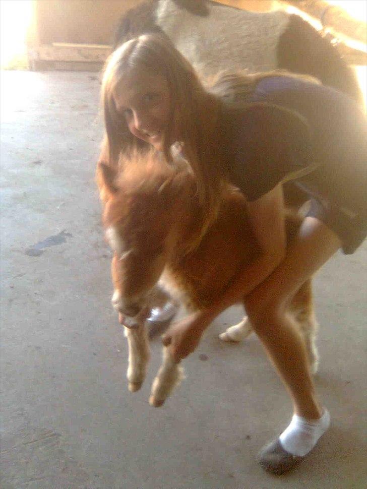 Miniature Filur billede 19