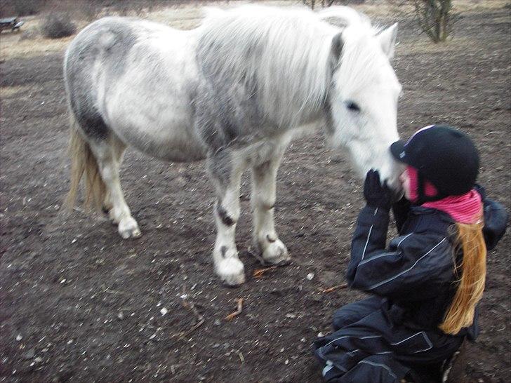 Anden særlig race Sif - Jeg elsker dig!!! billede 15