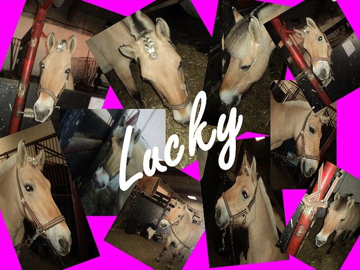 Anden særlig race Lucky<3 - har selv lavet det:) smid gerne en kommentar vog giv gern en bedømmelse:) billede 18