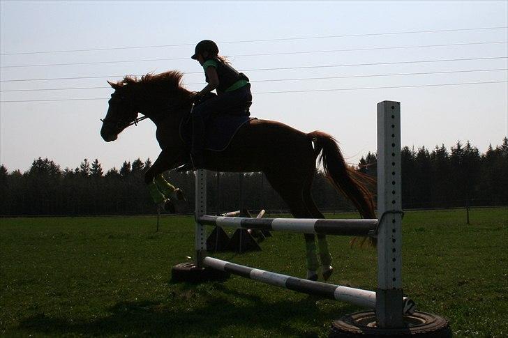 DSP Pour Lady billede 9