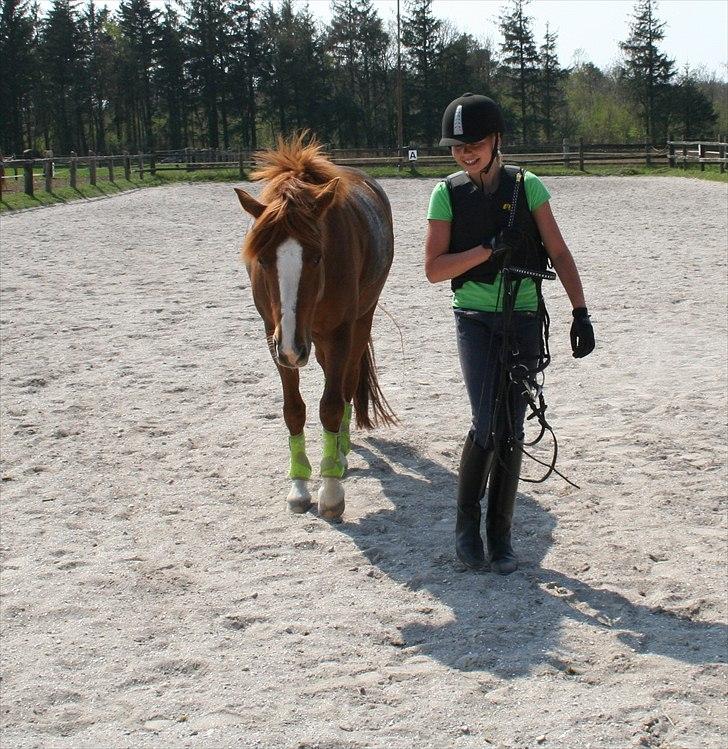 DSP Pour Lady billede 15