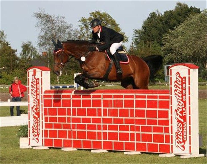 Dansk Varmblod Fighter  billede 6