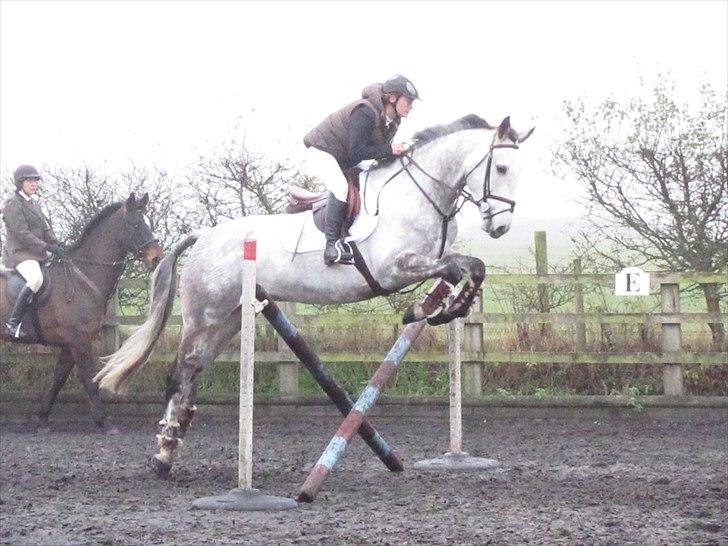 Anden særlig race Caecolley Dettingen - I opvarmningsringen - det var SAA taaget, saa nogle af billederne er lidt graa. 20/11-10 billede 8