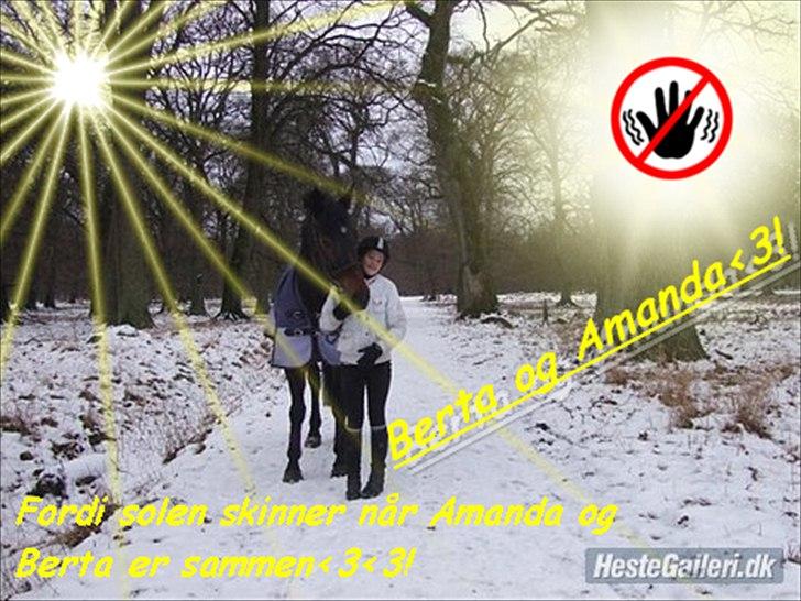 Pinto Berta billede 10