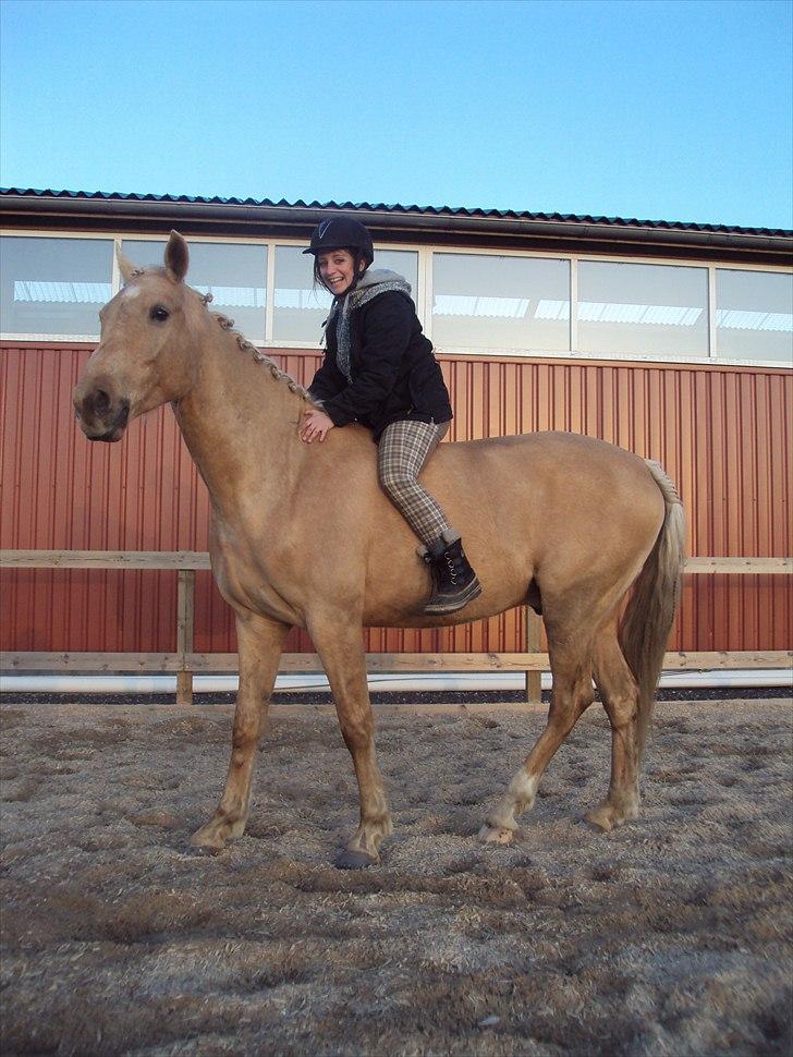 Palomino Golden Delicious R.I.P:'( - Forår 2010 - her havde Lukas ikke være redet i et halvt år, men som altid kan man bare hoppe op <3 billede 19