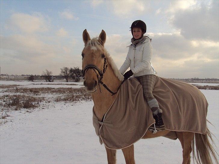 Palomino Golden Delicious R.I.P:'( - Vinter 09 - smuk og dejlig som altid... billede 20