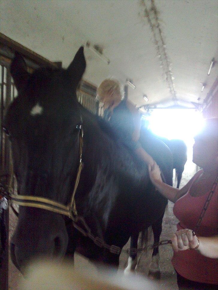 Oldenborg bella billede 4