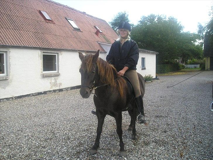 Islænder Litfara fra Gingsholm - gammelt billede.  år 2006! billede 18