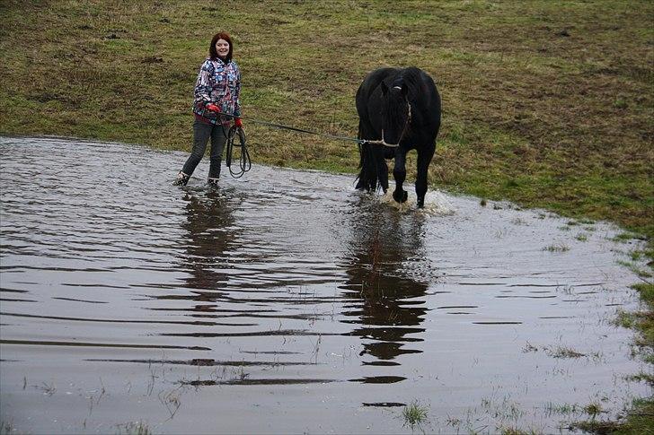 Frieser Chavel - Sussie og Cheval, longere igennem søen. Foto: Jeanett billede 20