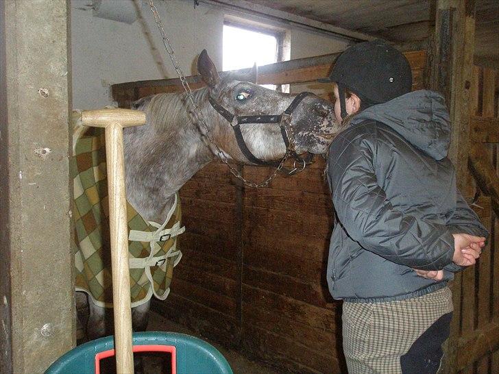 Anden særlig race Ozzy(gammel part) - MYYYS<3 billede 13