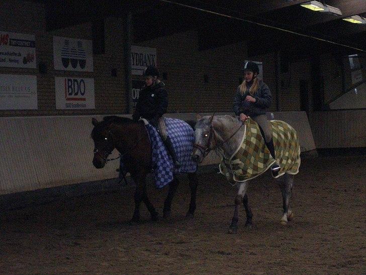 Anden særlig race Ozzy(gammel part) - super Ozzy og ninja Jump:* billede 14