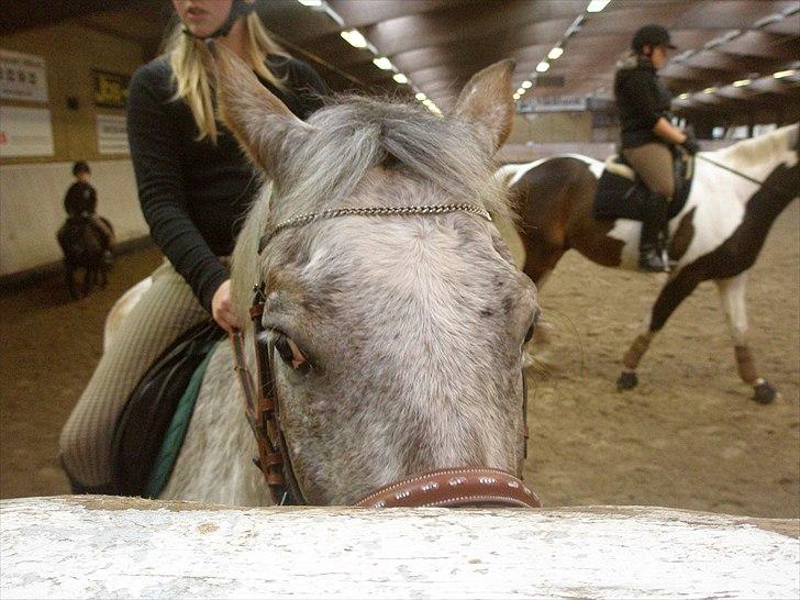 Anden særlig race Ozzy(gammel part) - i ka´ ikk se mig<3 billede 16