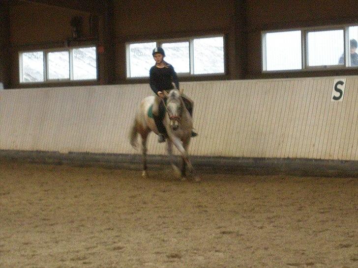 Anden særlig race Ozzy(gammel part) - ;) billede 18