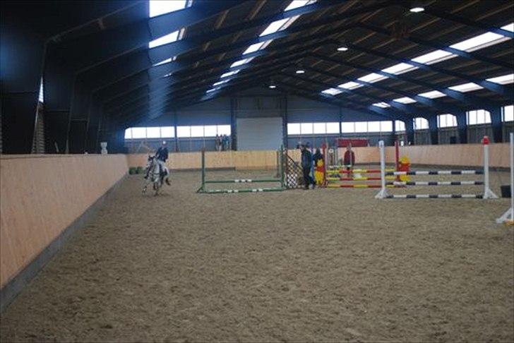 Welsh Pony (sec B) Korreborgs Rollo * SOLGT* billede 17