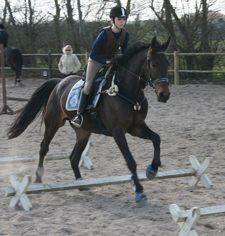 Anden særlig race Casino Royale(Black Star) - Babys første spring... nogensinde o.O  billede 4