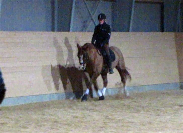 DSP Oscar - Dressur undervisning, 30 november billede 11