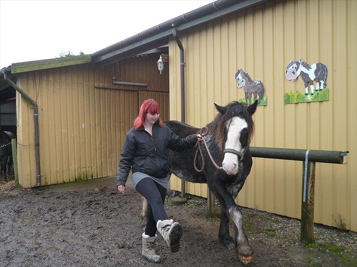 Tinker Lehmanns Ozzie <3  billede 14