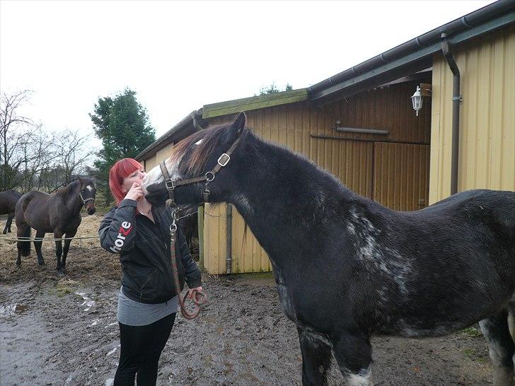Tinker Lehmanns Ozzie <3  billede 15