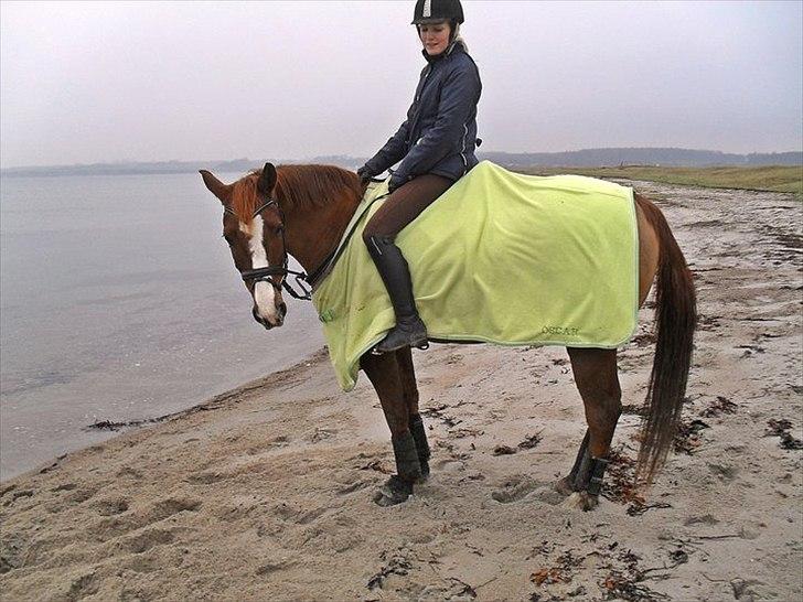 DSP Oscar - Ude på stranden billede 12