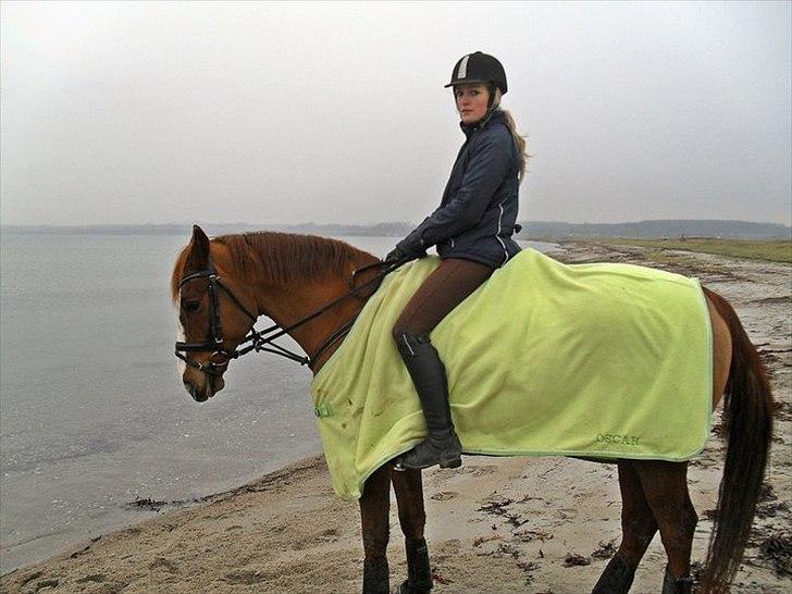 DSP Oscar - På stranden billede 13