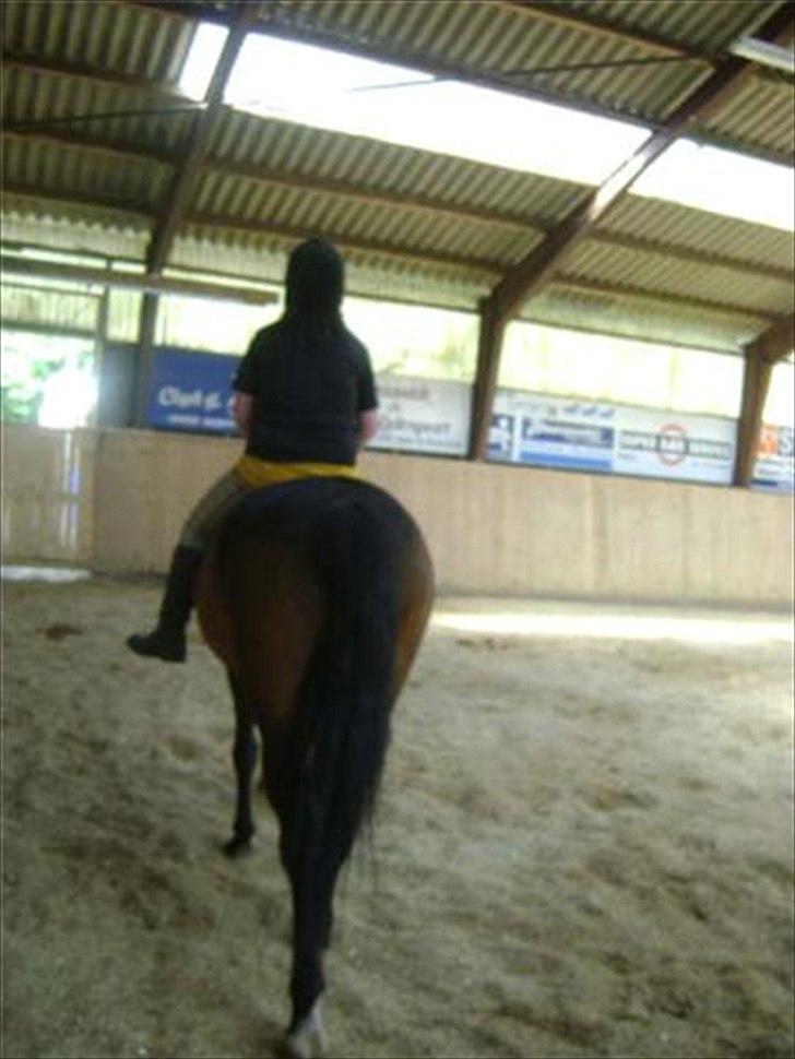 Anden særlig race Cassiopaia ¤Gammel Part¤ billede 5