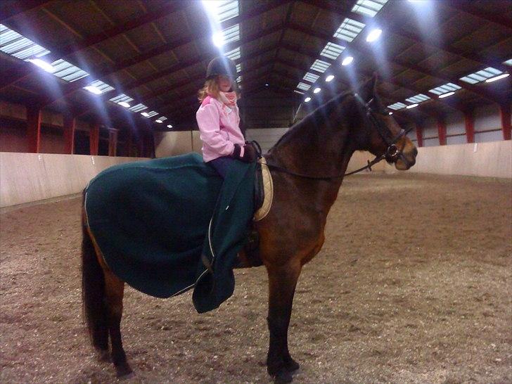 Anden særlig race Cassiopaia ¤Gammel Part¤ billede 7