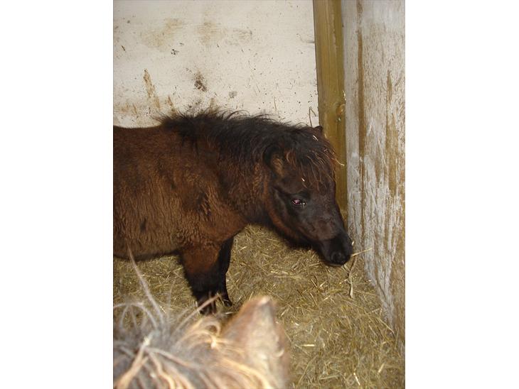 {{currentPhoto.altText}} billede {{currentPhoto.number}}