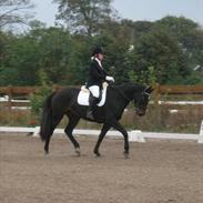 Anden særlig race Staghøjgårds Mariano